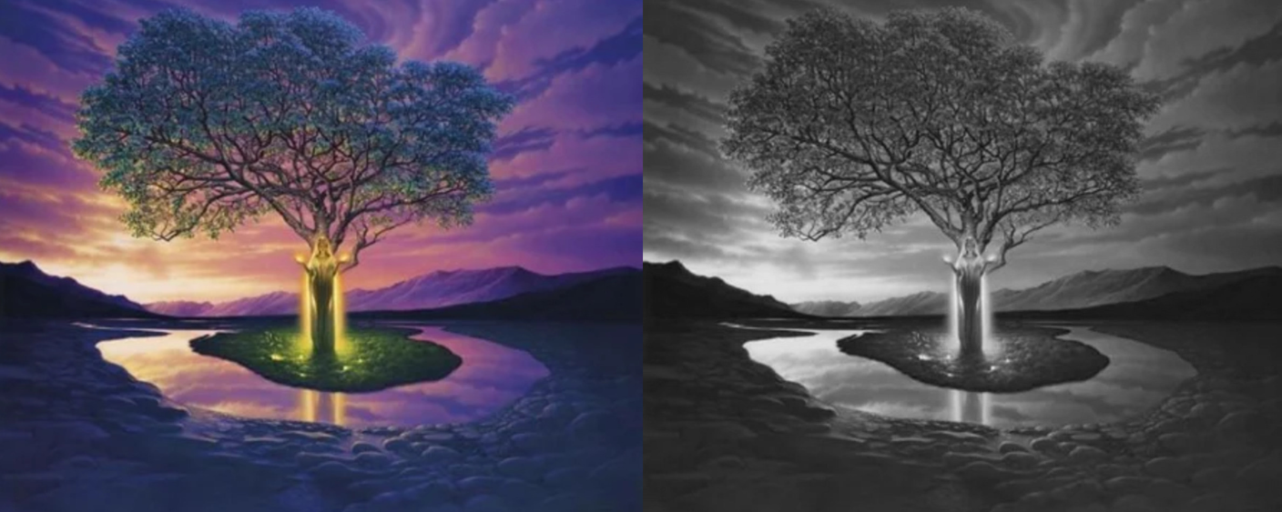 Image Transformation!